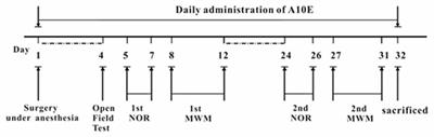 Tacrine(10)-Hupyridone Prevents Post-operative Cognitive Dysfunction via the Activation of BDNF Pathway and the Inhibition of AChE in Aged Mice